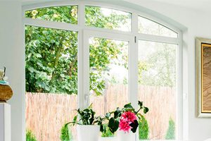 Beautiful arched window with a view of a residential backyard and plants.